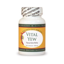 VITAL YEW